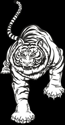 Tiger01V4bw