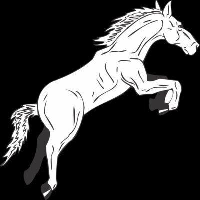 HORSE2