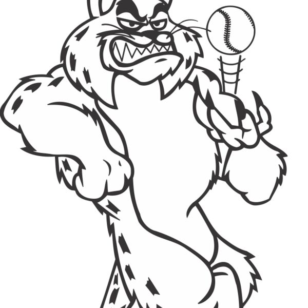 BOBCATBSBLBNS2 Thumbnail