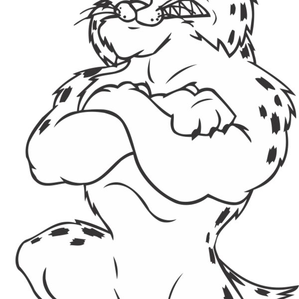 BOBCATVLYBNS Thumbnail