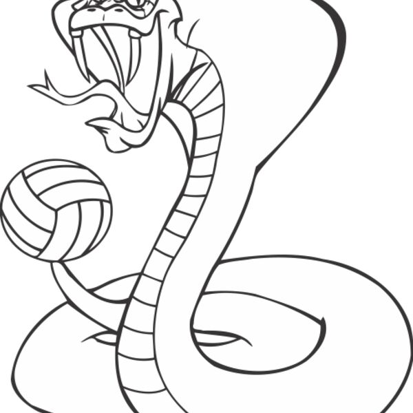 COBRAVLYBNS Thumbnail