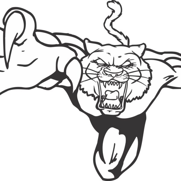 WILDCAT1 Thumbnail