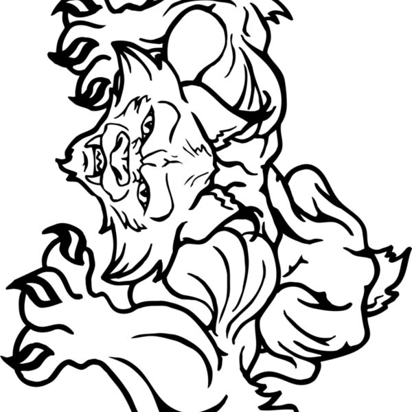 WLDCTPNC Thumbnail
