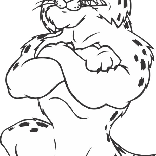 BOBCATPOOLBNS Thumbnail