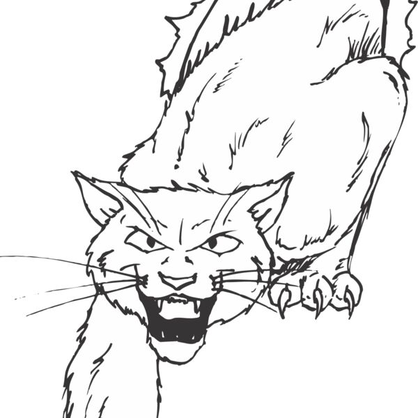 WILDCAT2 Thumbnail