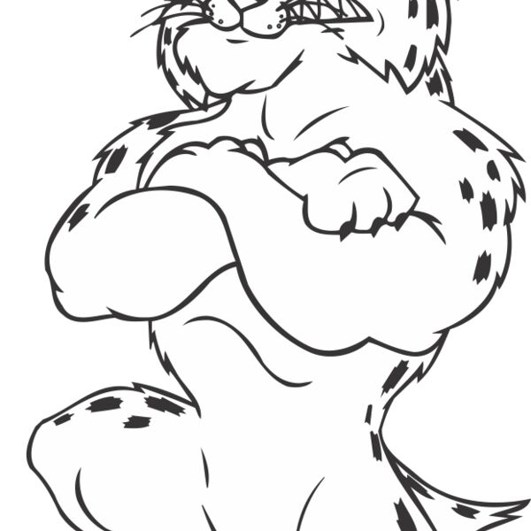 BOBCATBSBLBNS Thumbnail