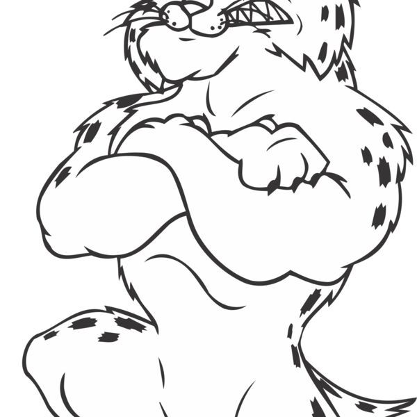 BOBCATVLLYBLBNS Thumbnail