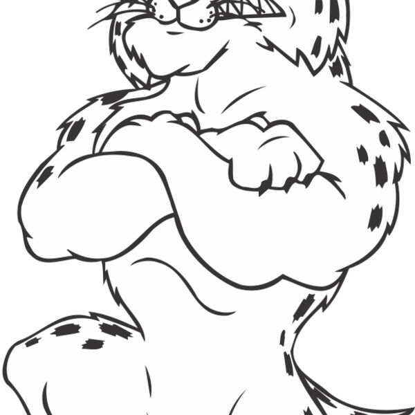 BOBCATBWLBNS Thumbnail