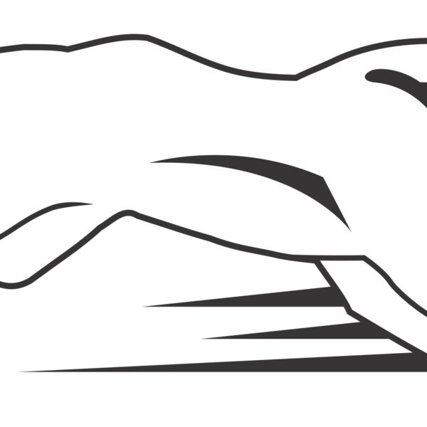 CPSTYLIZED3 Thumbnail