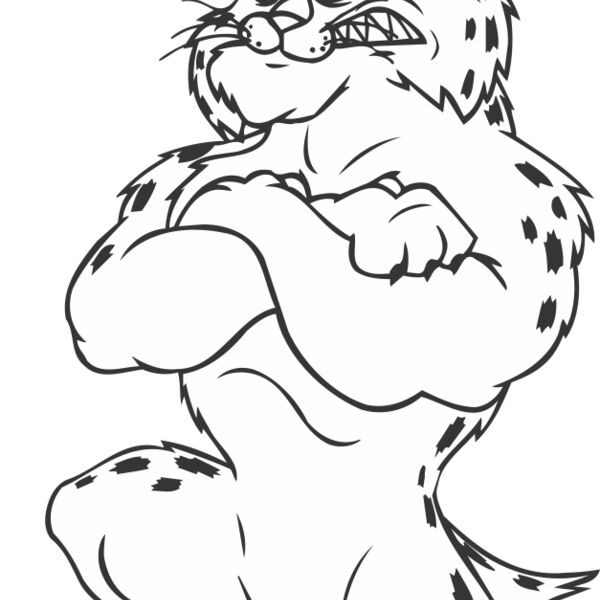 BOBCATRGBYBNS Thumbnail