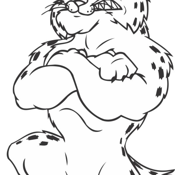 BOBCATBSKBLBNS Thumbnail