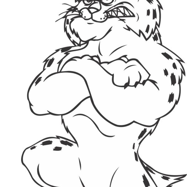 BOBCATFTBLBNS Thumbnail