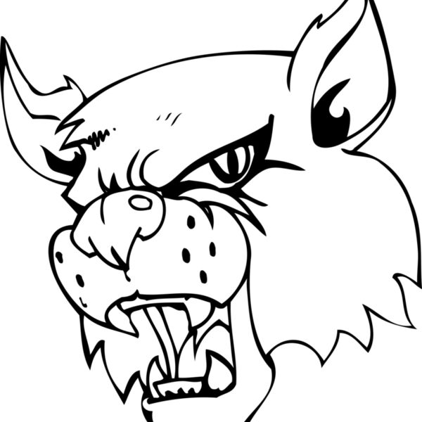WLDCT1 Thumbnail