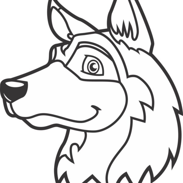 K9HD2 Thumbnail
