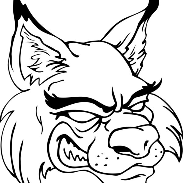 WLDCTHD Thumbnail