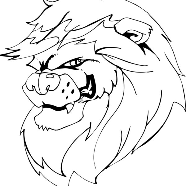LNHD Thumbnail