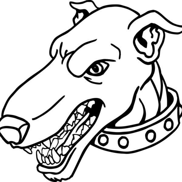 DOGHD4 Thumbnail