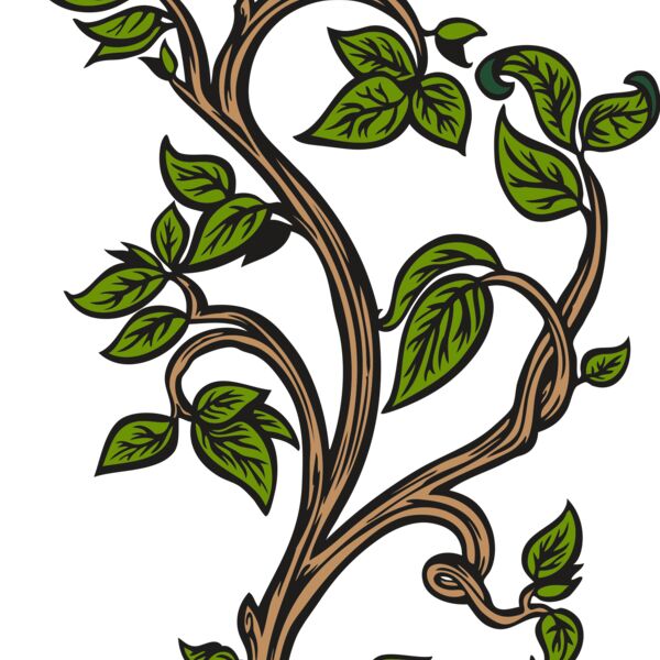 ESleaves005clr Thumbnail