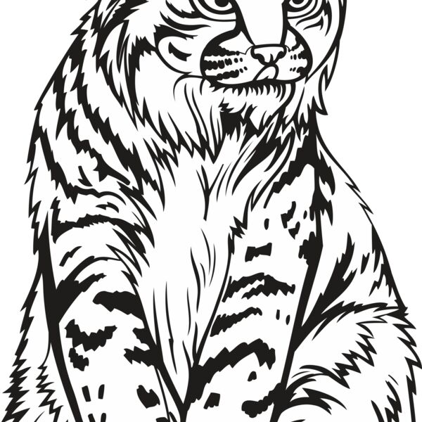 Wildcat07V4bw Thumbnail