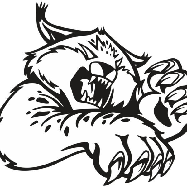 Wildcat08V4bw Thumbnail