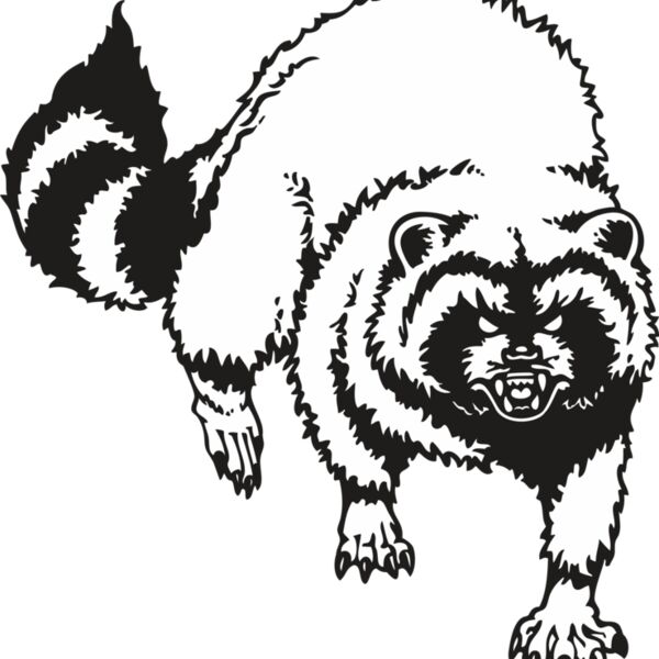 raccoon01V4bw Thumbnail