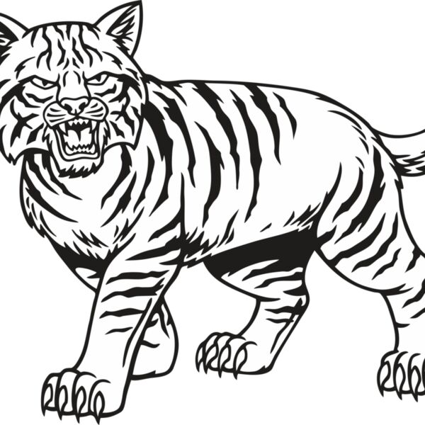 Wildcat04V4BW Thumbnail