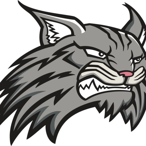 Wildcat11V4clr Thumbnail