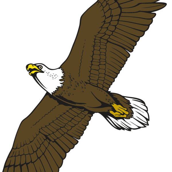 Eagle17V4clr Thumbnail