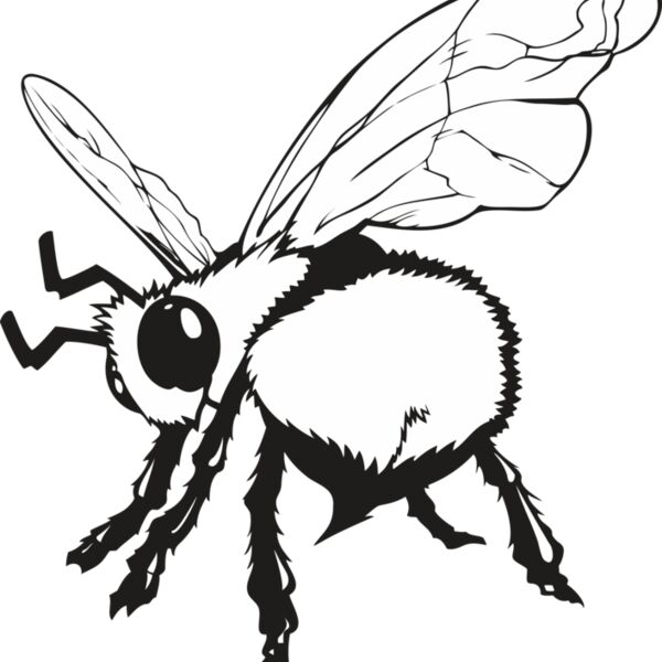 BEE05V4BW Thumbnail