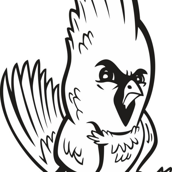 Cardinal06V4BW Thumbnail