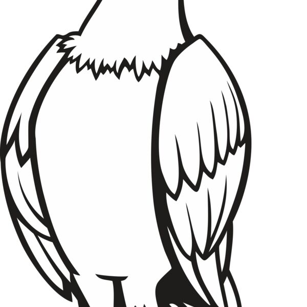 eagle07V4bw Thumbnail