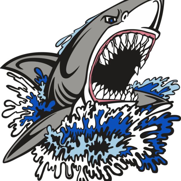 Shark06V4clr Thumbnail