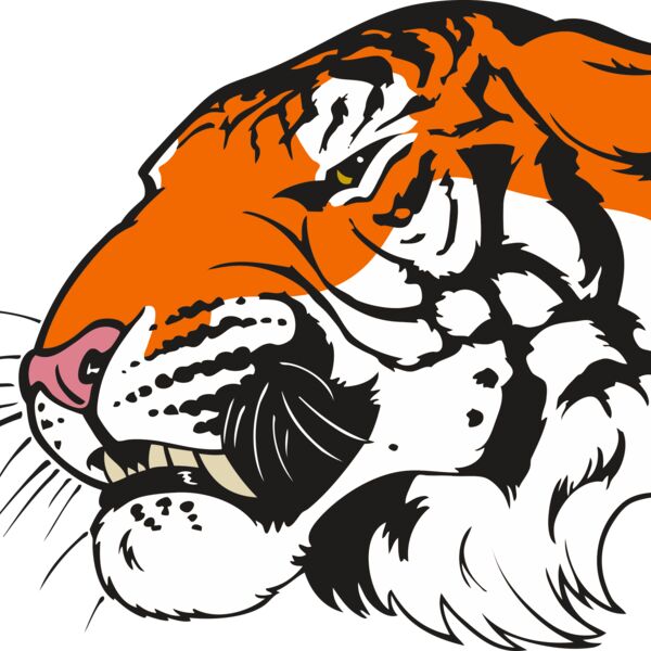 Tiger08V4clr Thumbnail