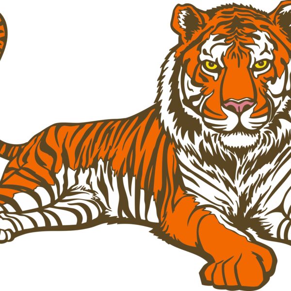 tiger06V4clr Thumbnail