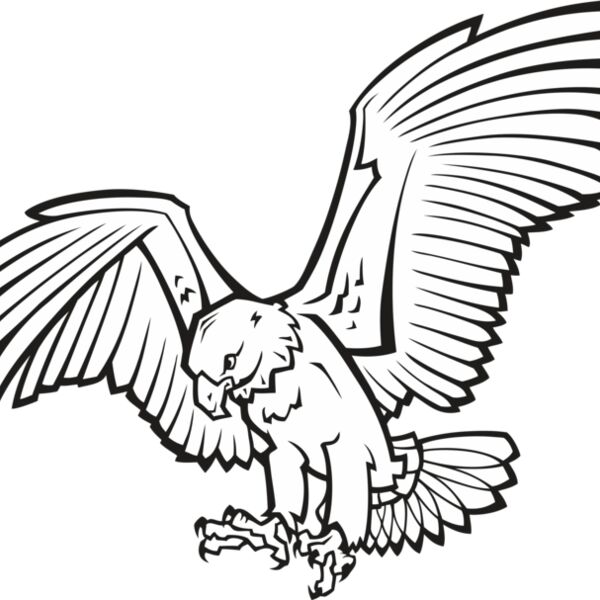 Eagle02V4bw Thumbnail