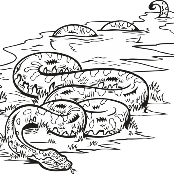 Snake13V4BW Thumbnail