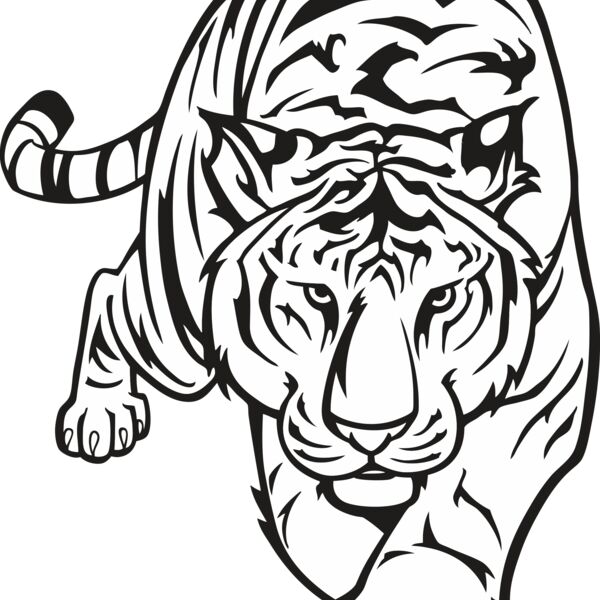 Tiger12V4bw Thumbnail