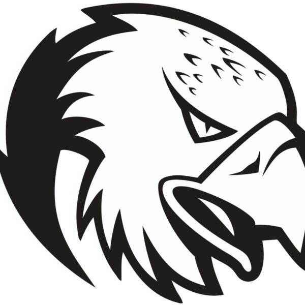 Eagle13V4bw Thumbnail