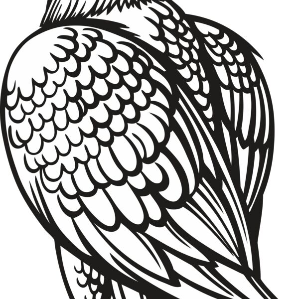 Eagle10V4bw Thumbnail