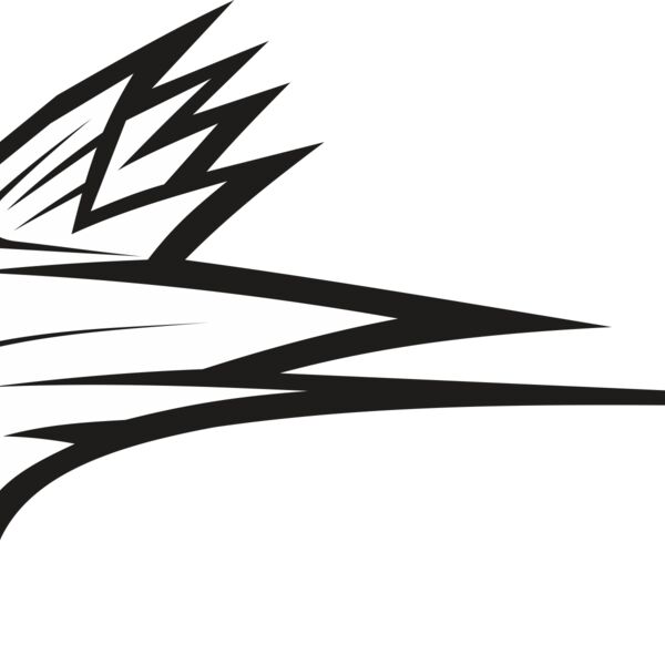 Cardinal01V4BW Thumbnail