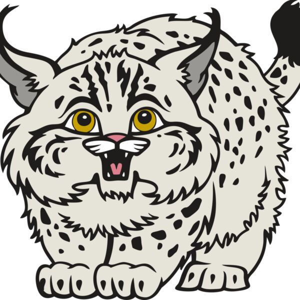 Wildcat12V4clr Thumbnail