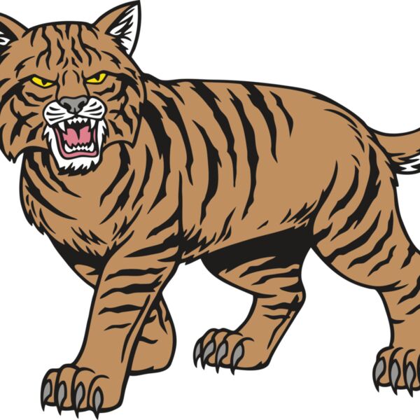 Wildcat04V4CLR Thumbnail