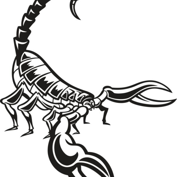 Scorpion02V4BW Thumbnail