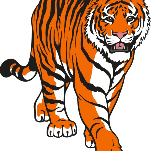 Tiger15V4clr Thumbnail