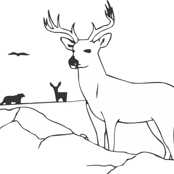 DEER Thumbnail