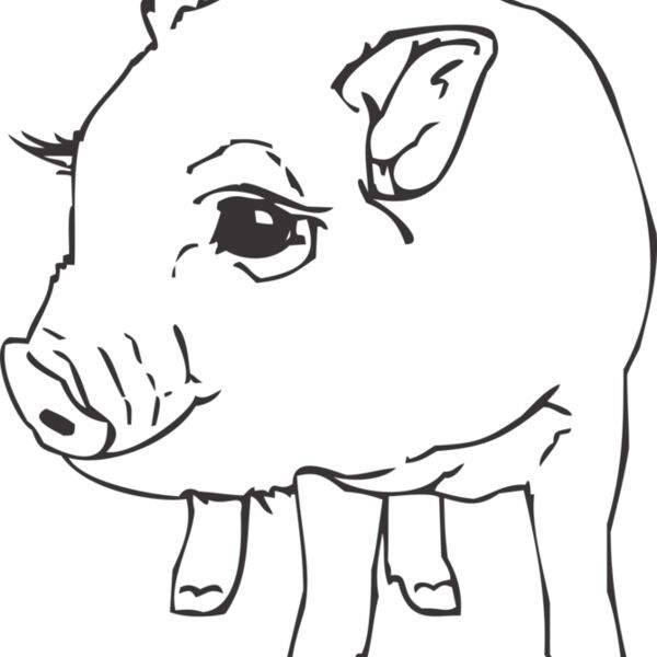 POTBPIG Thumbnail