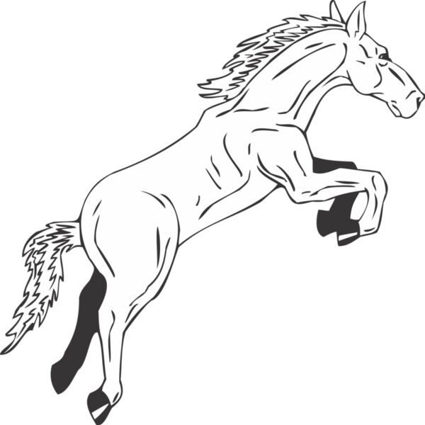 HORSE2 Thumbnail
