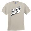 Heavy Cotton 100% Cotton T Shirt Thumbnail