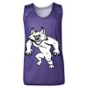 Youth Pro Mesh Reversible Tank Top Thumbnail