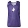 Youth Pro Mesh Reversible Tank Top Thumbnail